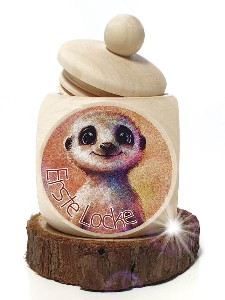 Erdmännchen ACA Erste Locke